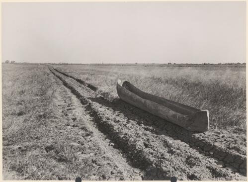 Aboriginal dugout canoe in a dry rice field near Humpty Doo before the wet, Northern Territory, 1954 [picture] / Neil Murray