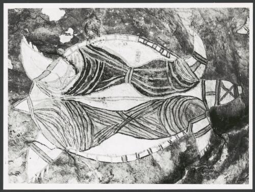 Rock painting of a turtle, Arnhem Land, Northern Territory, 8 January 1974 [picture]