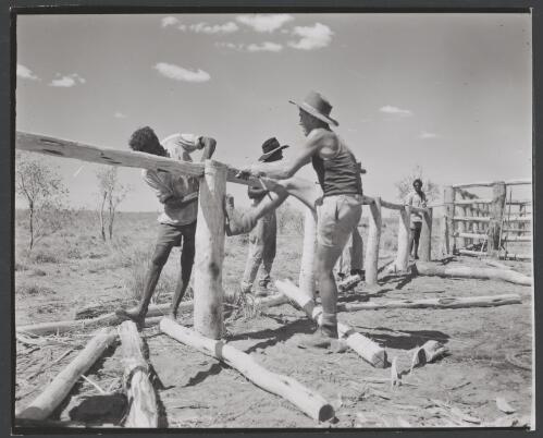 Five men building a stockyard, Hooker Creek, Northern Territory, 1958 [picture] / Australian Information Service photograph