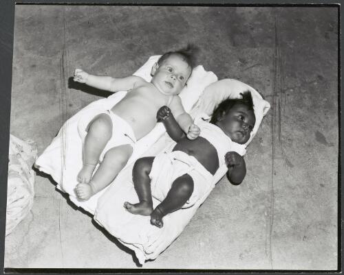 A European and an Aboriginal baby lying side by side, Hooker Creek Mission, Northern Territory, 1958 [picture] / Australian Information Service photograph