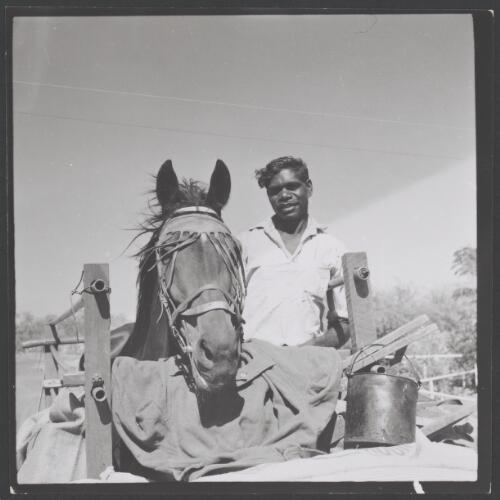 Aboriginal man grooming a horse, Hooker Creek, Northern Territory, 1958 [picture] / Australian Information Service photograph