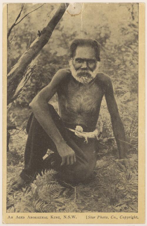 Portrait of a seated Aboriginal Elder, in a bush setting, wearing  trousers, New South Wales, ca. 1900 [picture] / Star Photo Co