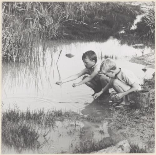 Two boys catching yabbies, November 1965 [picture] / M. Brown
