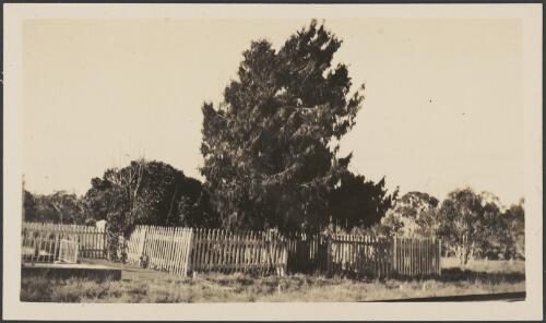Grave of the pioneer of Bungonia, New South Wales, ca. 1950s [picture]