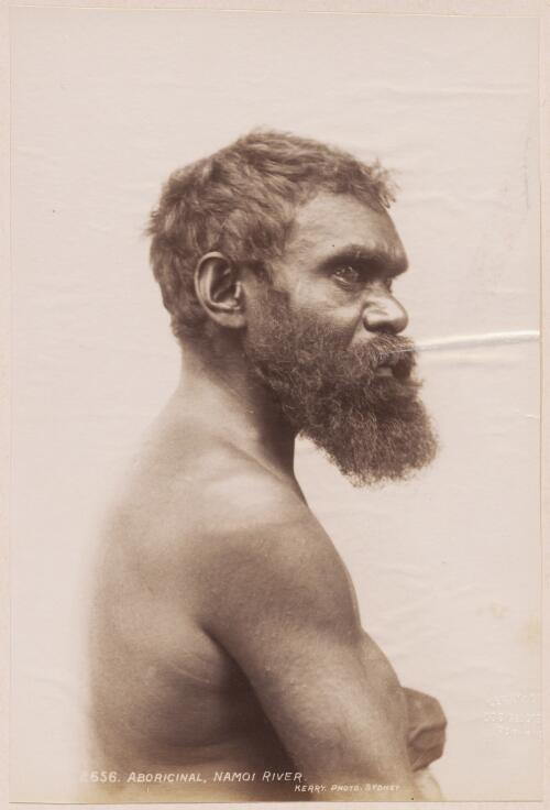 Portrait of an Aboriginal warrior from the Namoi River, New South Wales / Kerry & Co. Photo