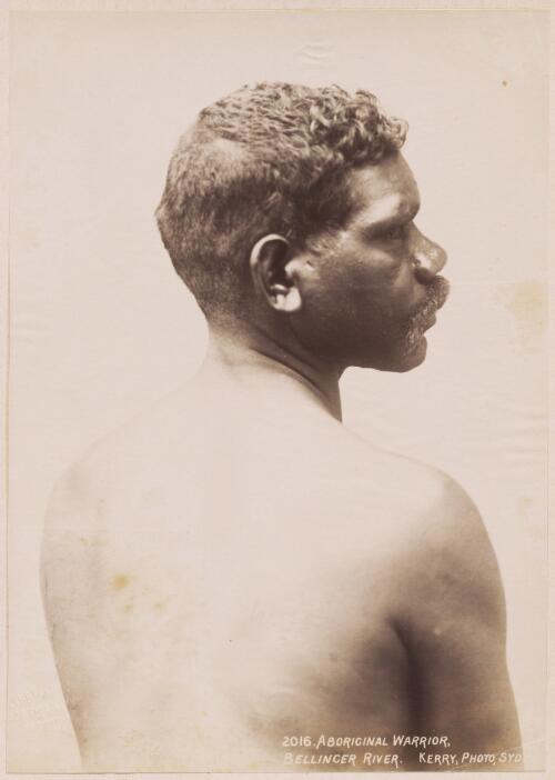 Aboriginal warrior, Bellinger River, New South Wales / Kerry & Co. Photo