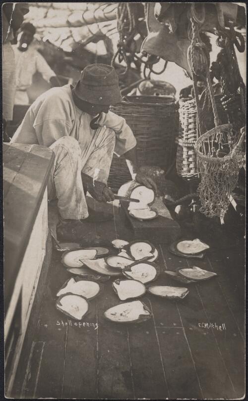 Man opening pearl oysters on board a boat, Western Australia, approximately 1910 / Ernest Lund Mitchell
