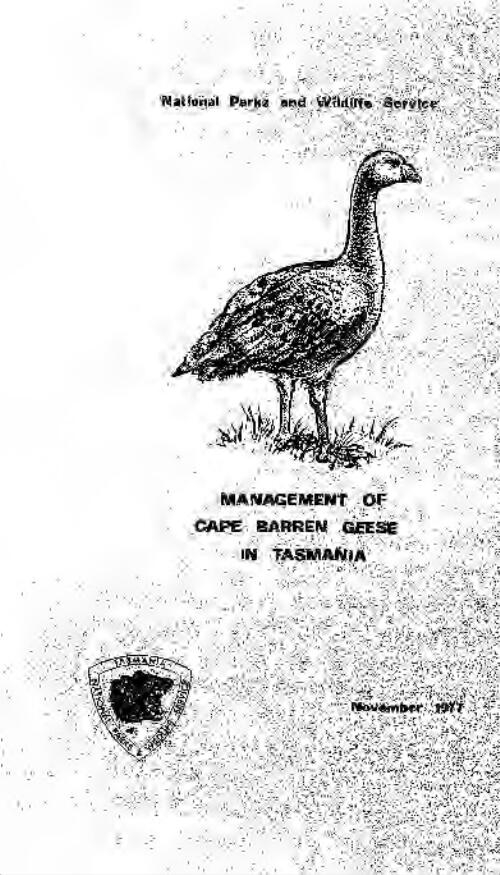 Management of Cape Barren geese in Tasmania / National Parks and Wildlife Service