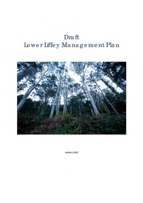 Lower Liffey management plan : draft / Tasmanian Land Conservancy