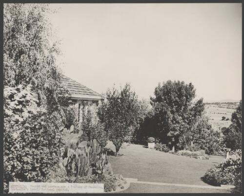 House and garden in Canberra, approximately 1950 / Australian News and Information Bureau