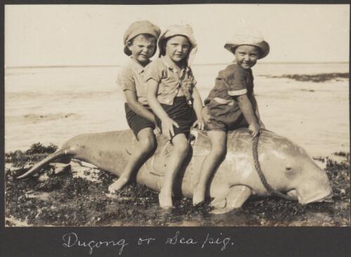 Children seated on a dugong, Broome, Western Australia, ca. 1926 [picture] / photos by R. A. Bourne