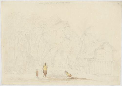 House of John Adams, Pitcairn Island [picture] / [Frederick W. Beechey]