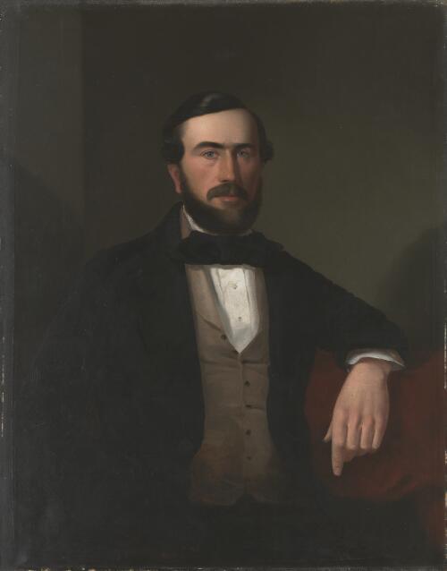 Portrait of The Hon. Thomas Dowling, J.P. 1820-1914 [picture] / [Robert Dowling]