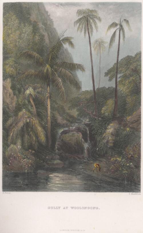 Gully at Woolongong [i.e. Wollongong] [picture] / S. Prout; T. Heawood