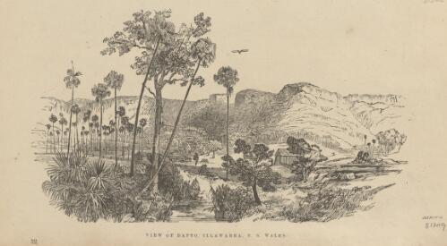 View of Dapto, Illawarra, N.S. Wales [picture]