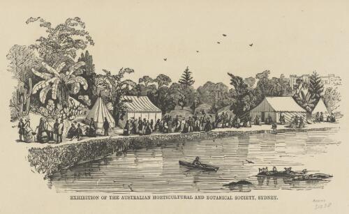 Exhibition of the Australian Horticultural and Botanical Society, Sydney [picture]