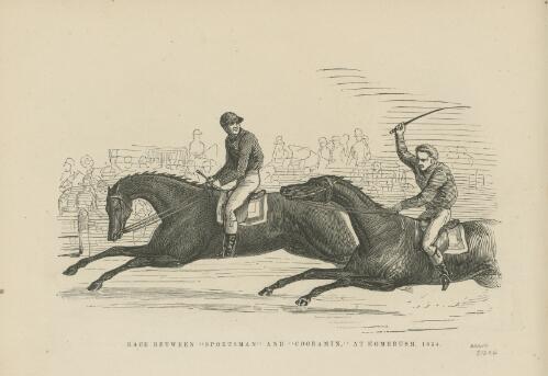 Race between Sportsman and Cooramin at Homebush, 1854 [picture]