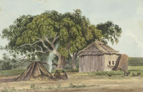 Poultry house, Challicum, Victoria, 1851 [picture] / [Duncan Cooper]