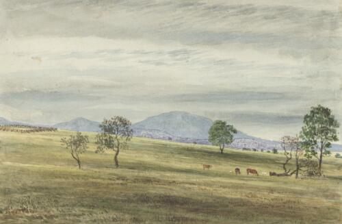 Jones' Hill and sheepyards, Challicum, Victoria, ca. 1850 [picture] / [Duncan Cooper]