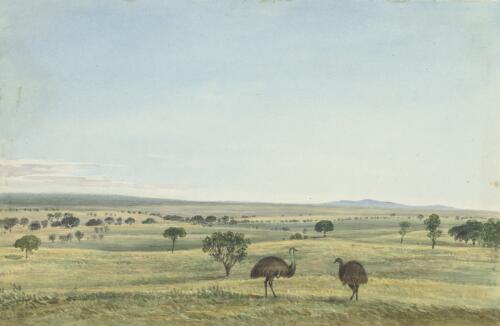 Panorama of Challicum, Victoria, ca. 1850, 2 [picture] / [Duncan Cooper]