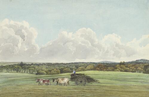 Panorama of Challicum, Victoria, ca. 1850, 3 [picture] / [Duncan Cooper]