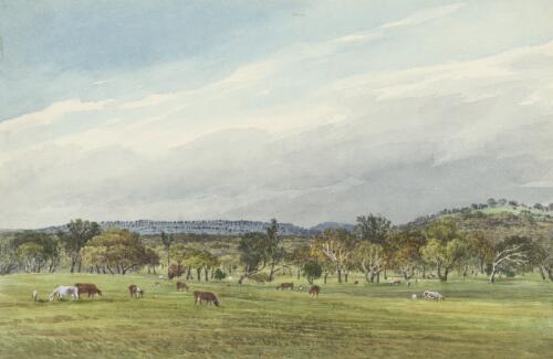 Panorama of Challicum, Victoria, ca. 1850, 4 [picture] / [Duncan Cooper]