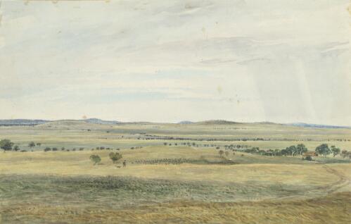 Panorama of Challicum, Victoria, ca. 1850, 9 [picture] / [Duncan Cooper]