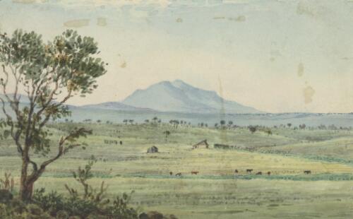 Stoneleigh sheep station, Victoria, 1841 [picture] / [Duncan Cooper]