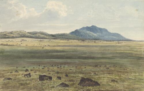 View from Waterloo Plains looking towards Challicum, Victoria, ca. 1850 [picture] / [Duncan Cooper]