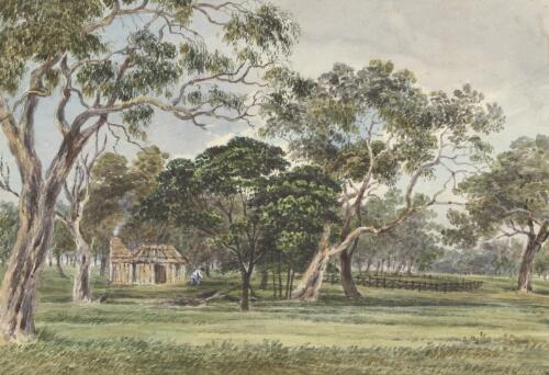 Sheep station in the forest, Challicum, Victoria, 1843 [picture] / [Duncan Cooper]