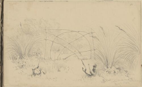 Australian Aboriginal wicker snare in the swamp, South Australia, 1 May 1844 [picture] / George French Angas