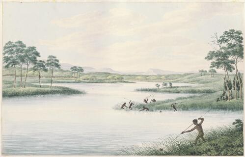 [Aborigines hunting waterbirds in the rushes] [picture] / [Joseph Lycett]