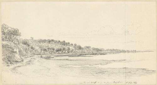 Near the Read [i.e. Red] Bluff, 6-7 m. from Brighton, 5 Feb. 1857 [picture] / [Eugene Von Guerard]