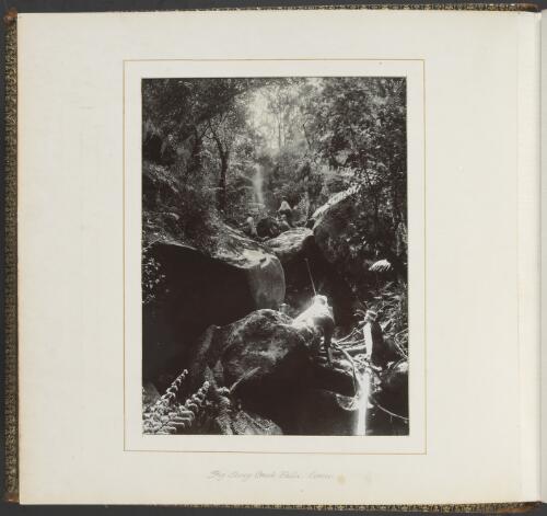 Big Stony Creek Falls, Lorne, Victoria, ca. 1900 [picture] / Nicholas Caire