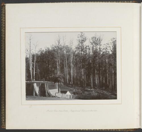 Giant tree gate posts, farmer's garden, Gippsland, Victoria, ca. 1900 [picture] / Nicholas Caire