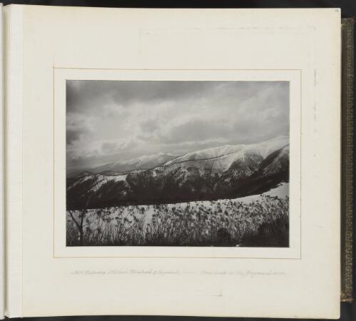 Mount Feathertop, Mount Hotham, Mount Blowhard and Omeo track in foreground, Victoria, ca. 1900 [picture] / Nicholas Caire