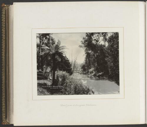 River Yarra, Warburton, Victoria, ca. 1900, 2 [picture] / Nicholas Caire