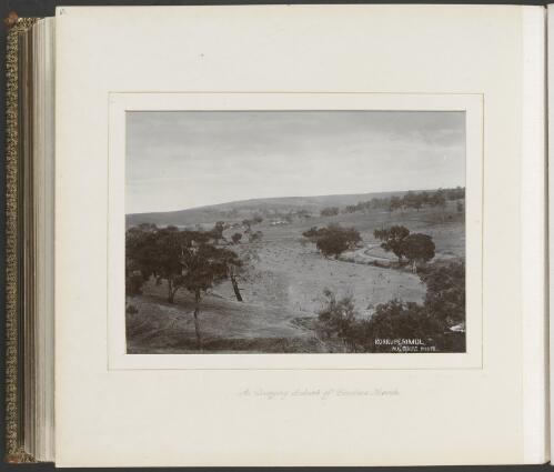 View of a dairy farm, Bacchus Marsh, Victoria, ca. 1900 [picture] / Nicholas Caire