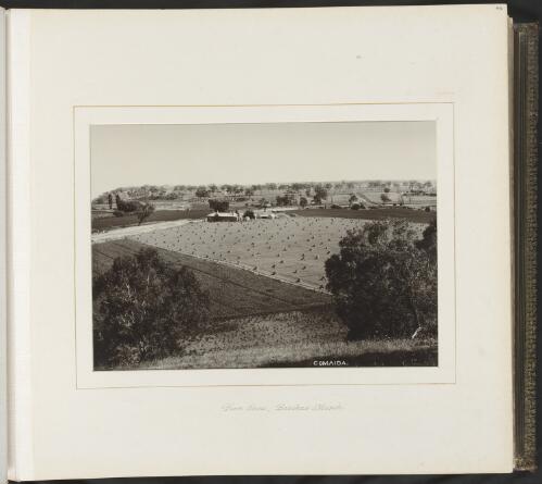Farm scene, Bacchus Marsh, Victoria, ca. 1900 [picture] / Nicholas Caire