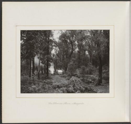 The hermit's home, Marysville, Victoria, ca. 1900 [picture] / Nicholas Caire