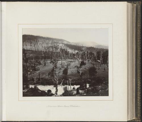 Mountain farm scene, Warburton, Victoria, ca. 1900 [picture] / Nicholas Caire