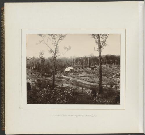 A bush farm in the Gippsland mountains, Victoria, ca. 1900 [picture] / Nicholas Caire