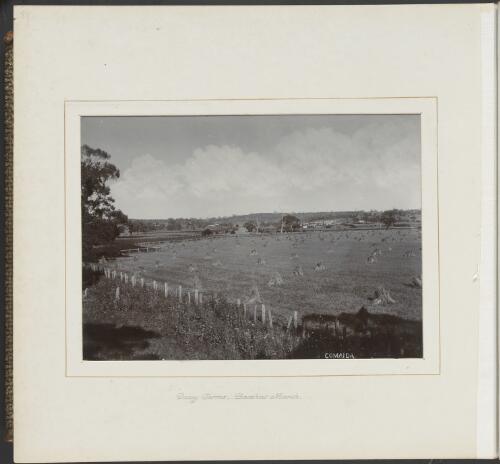 Dairy farms, Bacchus Marsh, Victoria, ca. 1900 [picture] / Nicholas Caire