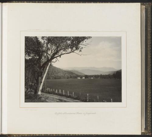 Buffalo Mountains, farm in foreground, Victoria, ca. 1900 [picture] / Nicholas Caire
