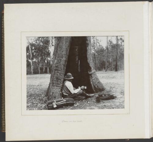 A swagman sitting in a giant tree trunk with his billy tea, Victoria, ca. 1900 [picture] / Nicholas Caire