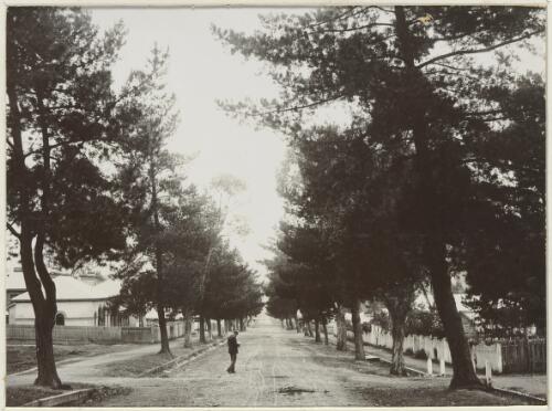 Country township, Victoria, ca. 1900 [picture] / Nicholas Caire