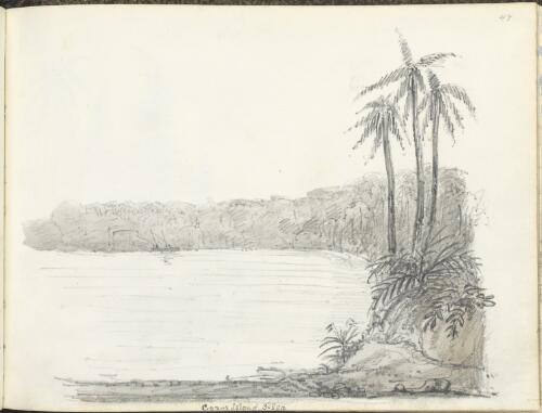 Coral Island, South Sea [picture] / [J.H. Goldfinch]