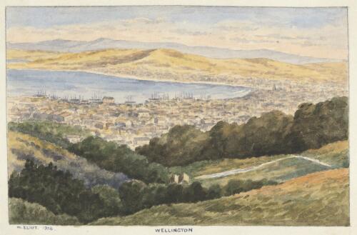 Wellington, 1918 [picture] / W. Eliot