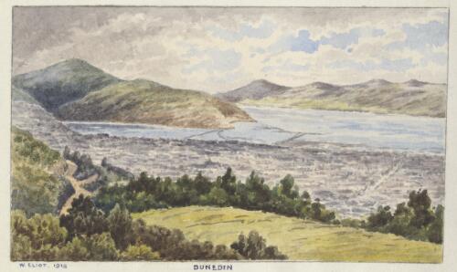 Dunedin [New Zealand], 1918 [picture] / W. Eliot