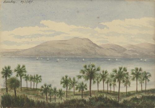 Bombay, 29 January 1875 [picture] / [Whately Eliot]